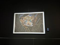 -罗红摄影艺术馆