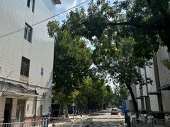 -山东农业大学(岱宗校区)