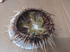 -海胆小馆(东北水饺·春柳店)