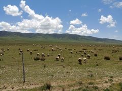 -青海湖国家重点风景名胜区