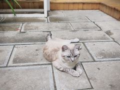 -大理床单厂艺术区