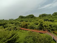 -立新湖公园