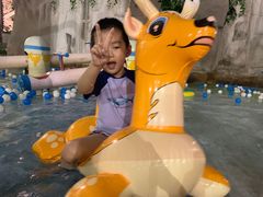 -南宫温泉水世界