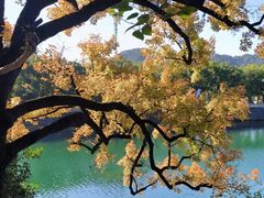 -溪口-滕头旅游景区