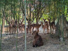 -观唐（国际）度假村温泉