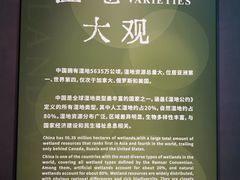 -中国湿地博物馆