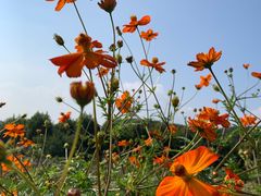 -北马山庄植趣咖啡