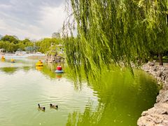 -团结湖公园