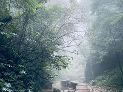 -青城山