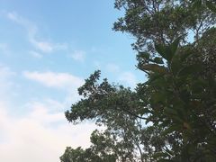-聚龙山公园