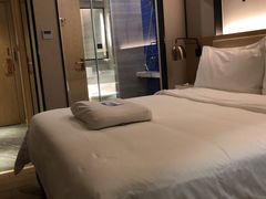-凯里亚德酒店(深圳北站大浪商业中心店)