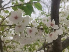 -安肯心理咨询(长宁旗舰店)