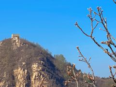 -遵化市禅林寺古银杏风景园