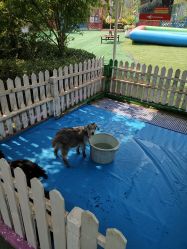 -萌宠亲子动物乐园(槐房万达店)