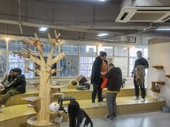 -Heymao猫咖.咖啡厅(东门店)