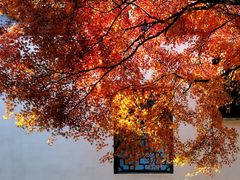 -惠山古镇·寄畅园