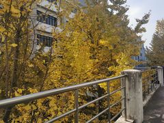-益禾堂(工商大学店)