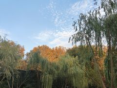 -COSTA COFFEE(西湖天地店)