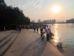 -天鹅湖体育公园