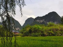 -靖西鹅泉风景区
