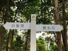 -火炉山森林公园