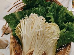 -同仁四季椰子鸡(福田东园总店)