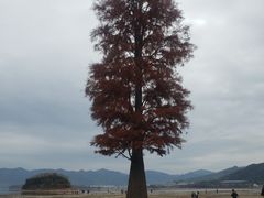 -四明湖