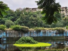 -重庆彩云湖湿地公园