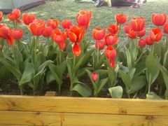 -昆山城市生态森林公园