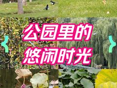 -迎泽公园