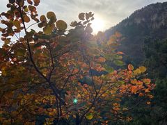 -北京上方山国家森林公园
