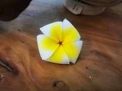 -婉泰·特色小吃·舂鸡脚(告庄二店)