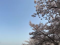 -苏州上方山国家森林公园