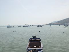 -长岛万鸟岛