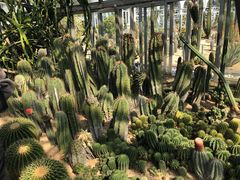 -深圳仙湖植物园