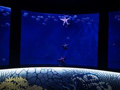 -沈阳海洋探索中心