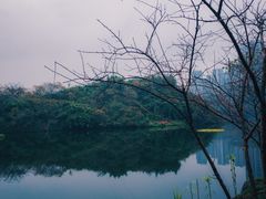 -重庆彩云湖湿地公园