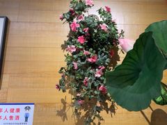 -云尊府云南菜·蒸汽石锅鱼(学清路店)