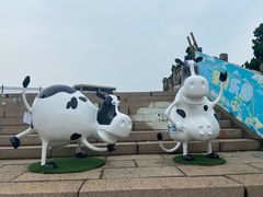 -海合安青岛极地海洋公园