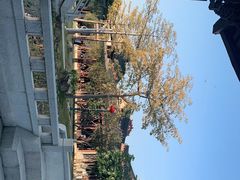 -惠州西湖丰渚园