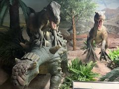 -国家自然博物馆