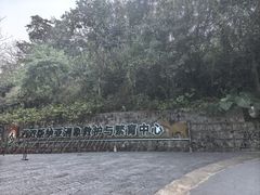 -野象谷景区