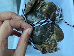 -乡乐园蟹庄·阳澄湖农家乐