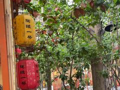 -陶缘一号·四季缘·老字号顺德菜·户外婚礼家宴(西滘店)