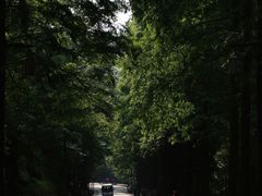 -青城山