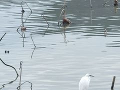 -东钱湖旅游度假区