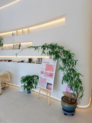 -紫琪尔·匠心连锁·胸部护理养护