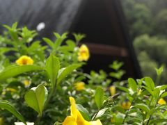 -神光山国家森林公园