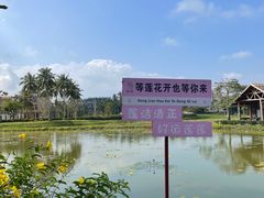 -蔡家宅