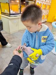 点击看大图 -神奇动物撸宠馆·羊驼·小浣熊·异宠(豫园店)